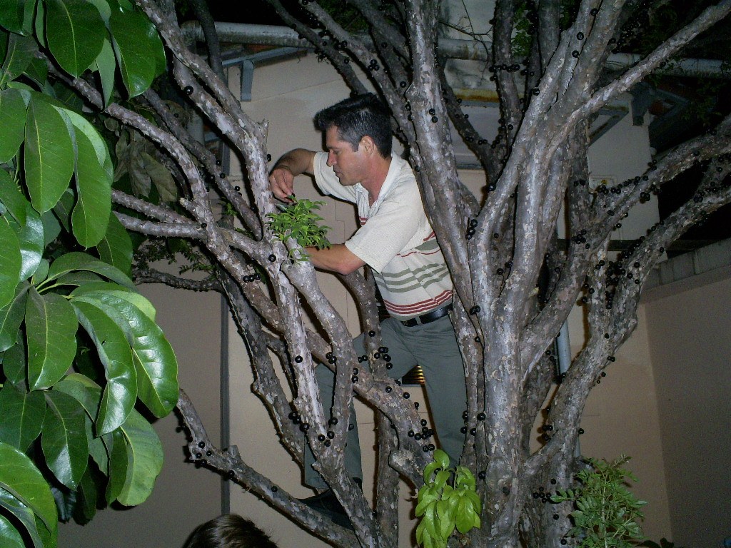Churrasco Jaguariúna - Foto 12